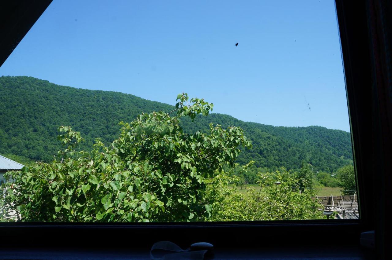 Woodland Paradise Gabala Exterior foto