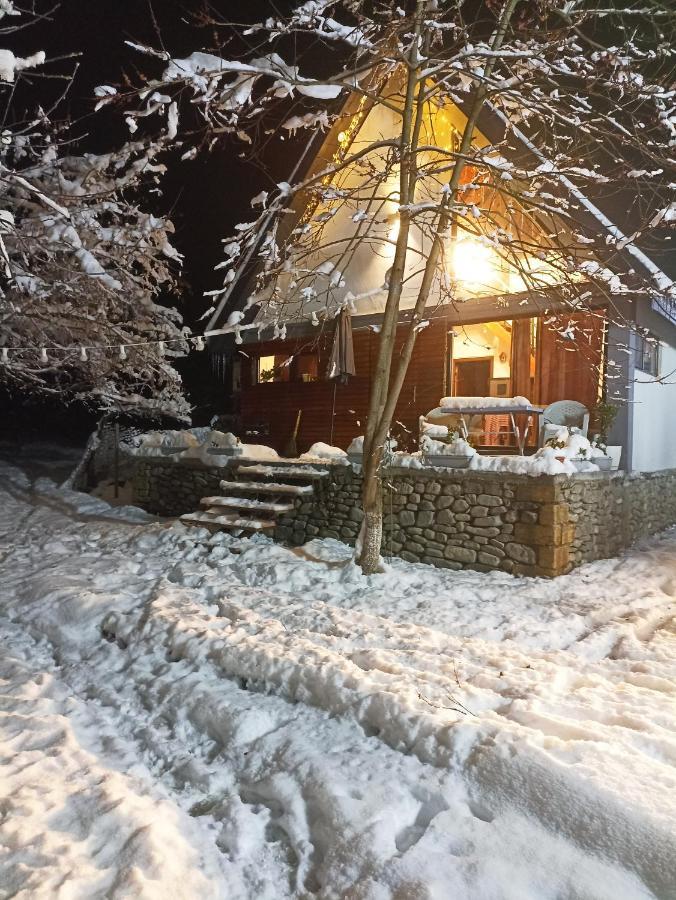 Woodland Paradise Gabala Exterior foto