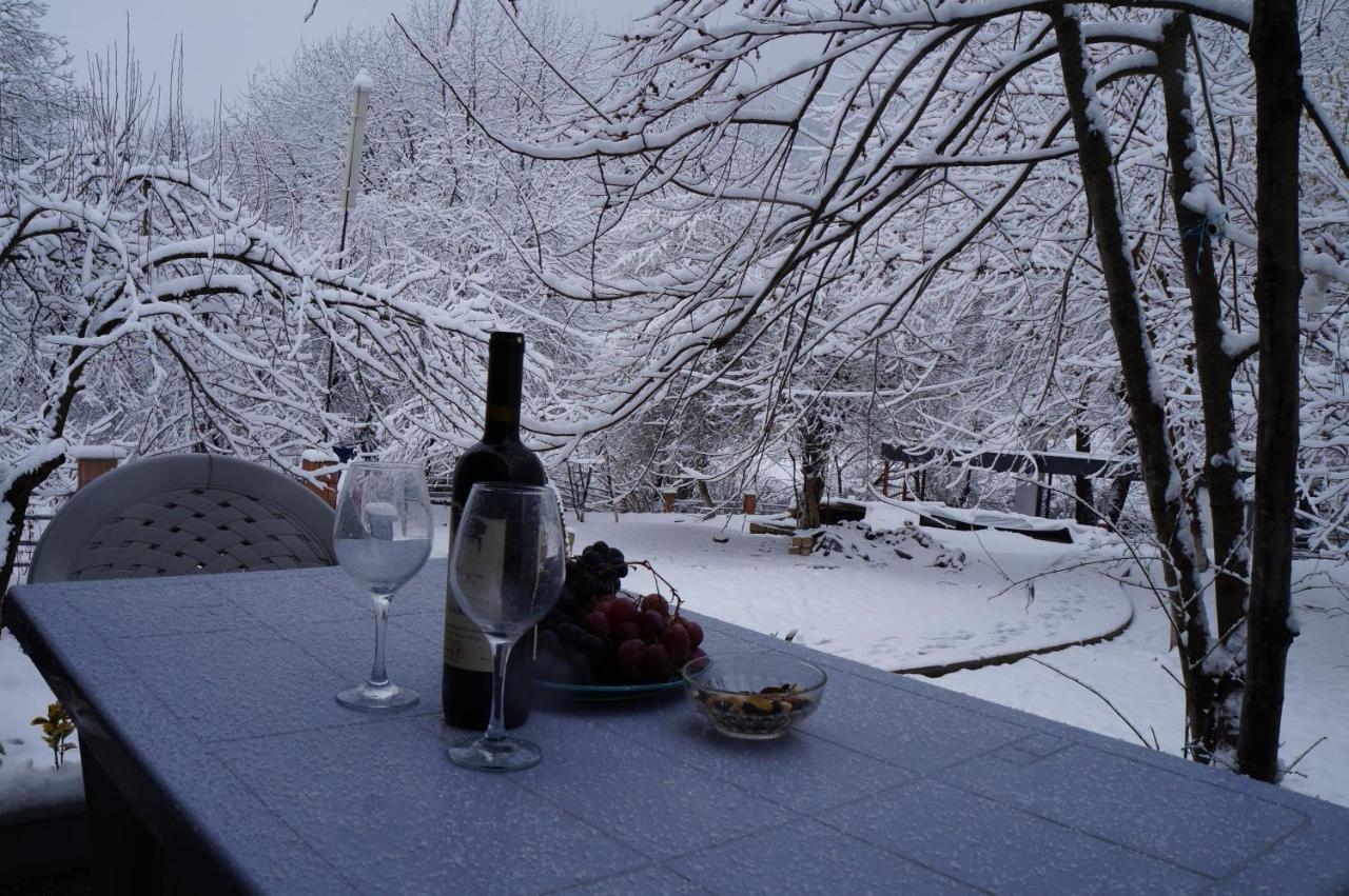 Woodland Paradise Gabala Exterior foto
