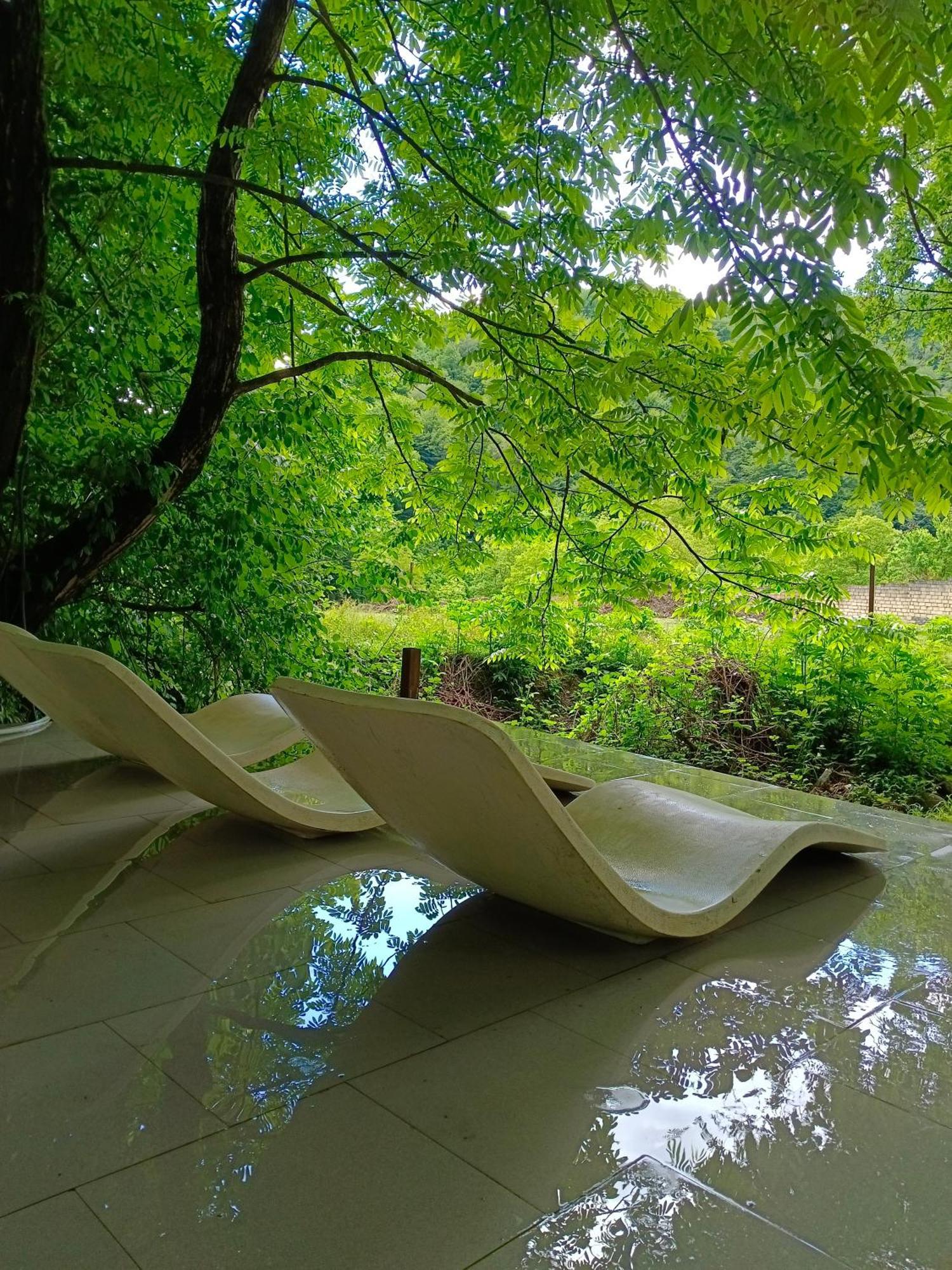 Woodland Paradise Gabala Exterior foto